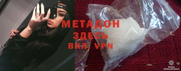 ГАЛЛЮЦИНОГЕННЫЕ ГРИБЫ Дмитриев