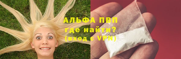 ГАЛЛЮЦИНОГЕННЫЕ ГРИБЫ Дмитриев