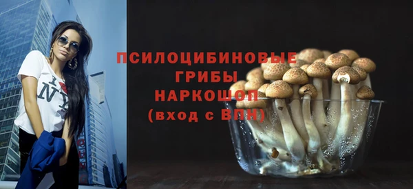 ГАЛЛЮЦИНОГЕННЫЕ ГРИБЫ Дмитриев