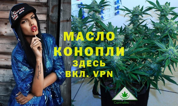 ГАЛЛЮЦИНОГЕННЫЕ ГРИБЫ Дмитриев