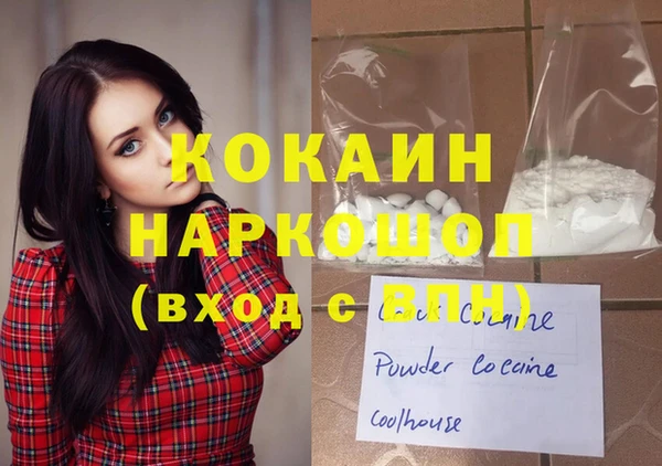 ГАЛЛЮЦИНОГЕННЫЕ ГРИБЫ Дмитриев