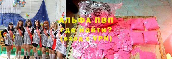 ГАЛЛЮЦИНОГЕННЫЕ ГРИБЫ Дмитриев