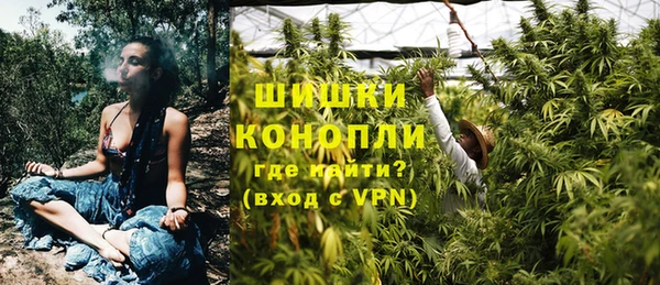 стаф Дмитровск