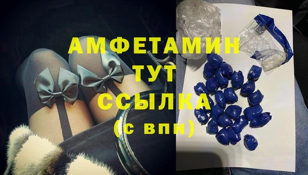 стаф Дмитровск