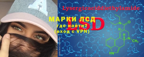 стаф Дмитровск