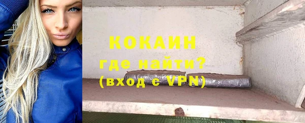 стаф Дмитровск