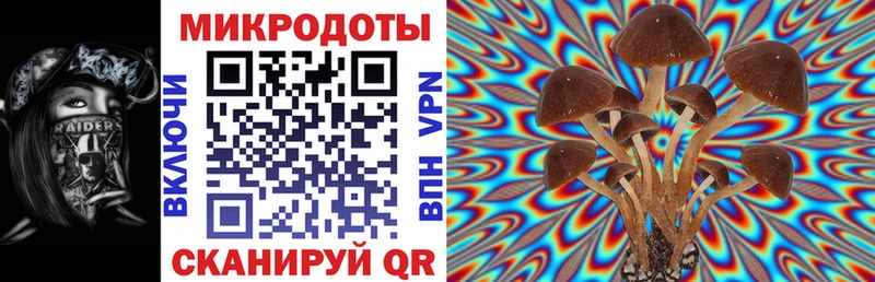 Купить закладки  Светлогорск  Галлюциногенные грибы ЛСД 