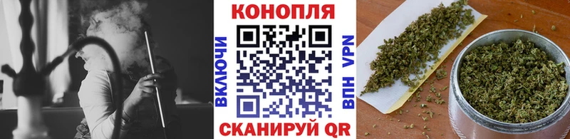 Купить закладки  Светлогорск  Бошки Шишки семена 